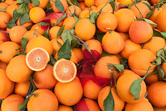 sicily guide food beverage typical traditional oranges fruit